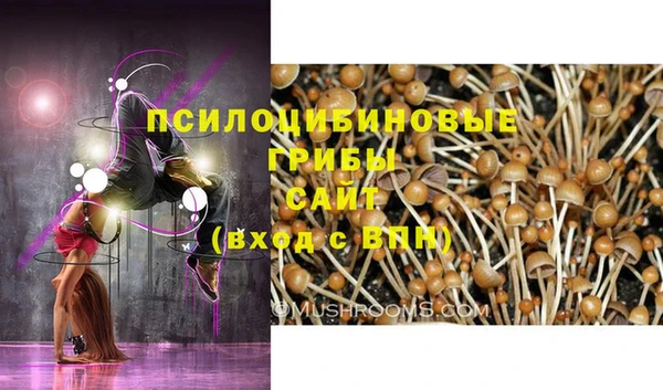 мескалин Балахна