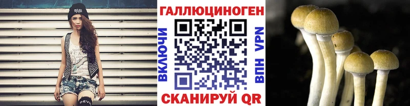 кракен как зайти  Белокуриха  Псилоцибиновые грибы Psilocybine cubensis 